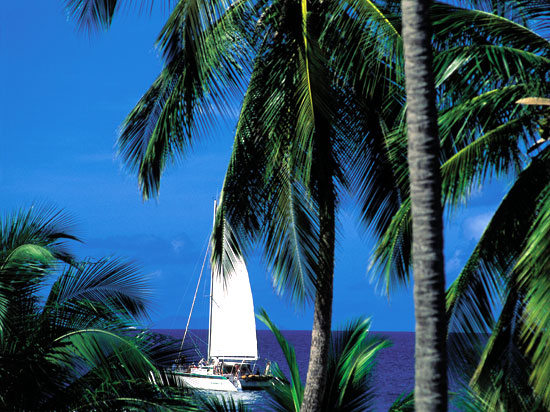(Image) guadeloupe