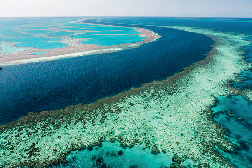 image Australie Queensland grande barriere de corail 30 it_461851027