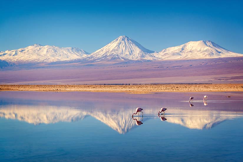 image Chili Salar d Atacama as_277521009