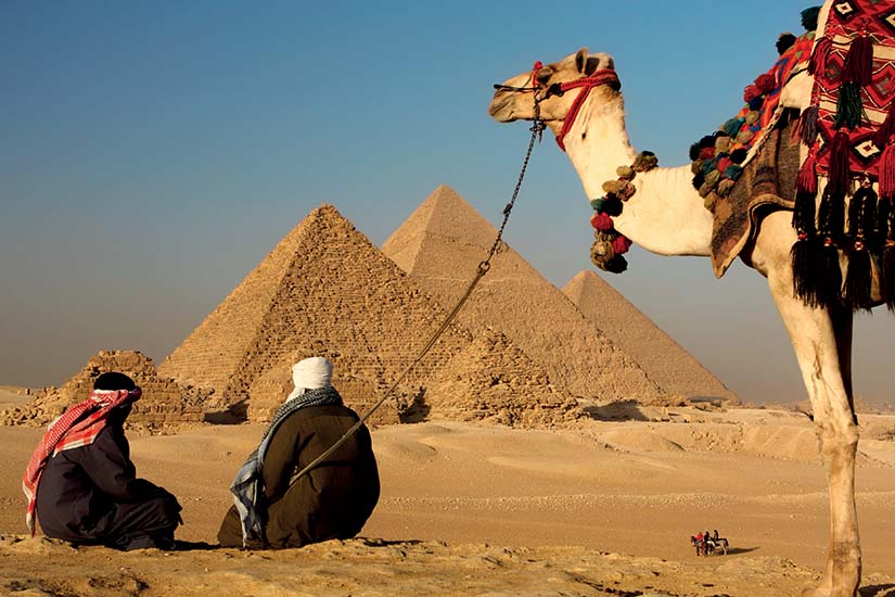 image Egypte Le Caire Bedouins et chameaux devant les pyramides de Gizeh as_243600759