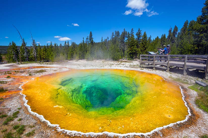 image Etats Unis Parc national de Yellowstone Morning Glory Pool is_480190602