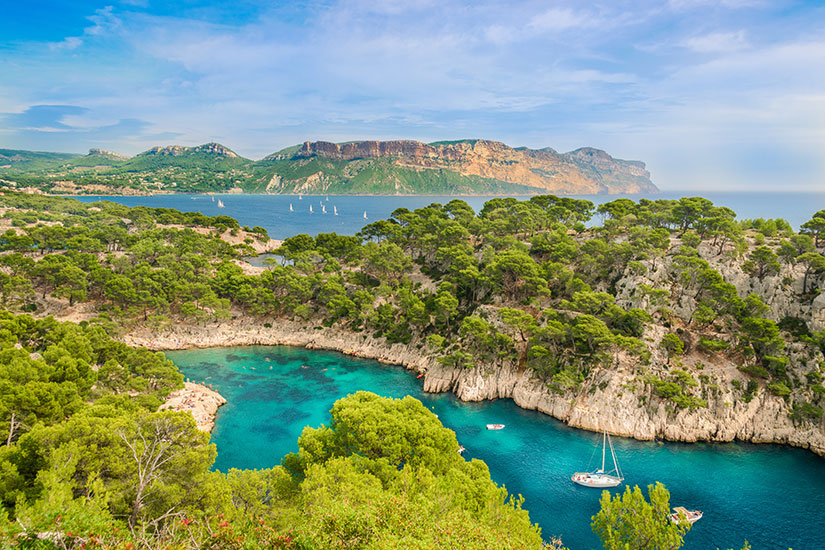 image France Marseille Calanque Port Pin  fo