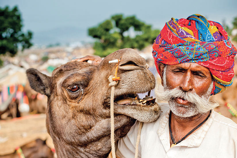 image Inde Pushkar indien avec son chameau a Camel Fair  it