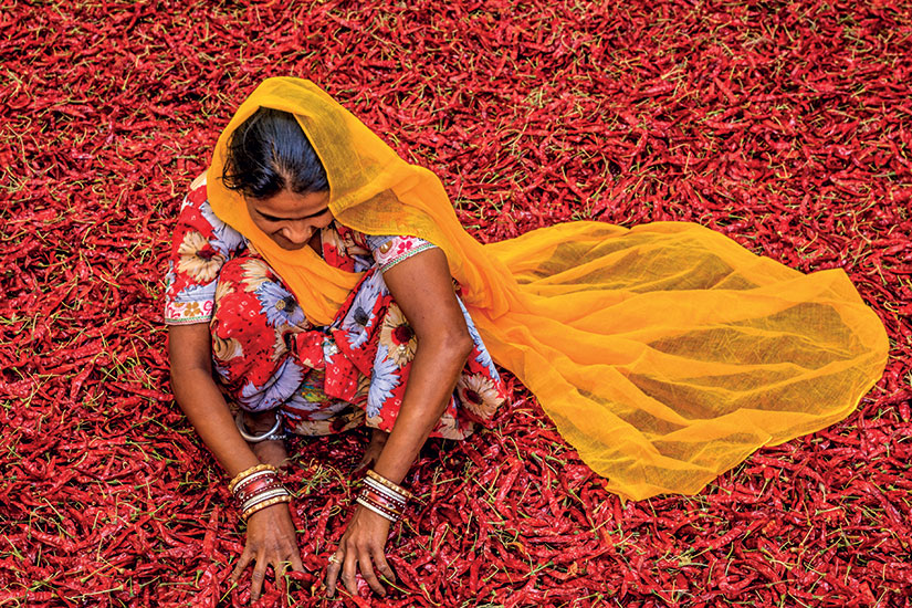image Inde jodhpur femme piment rouge  it