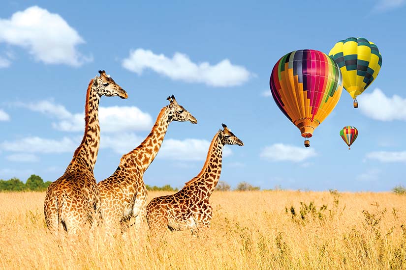 image Kenya reserve Masai Mara it_1047520376