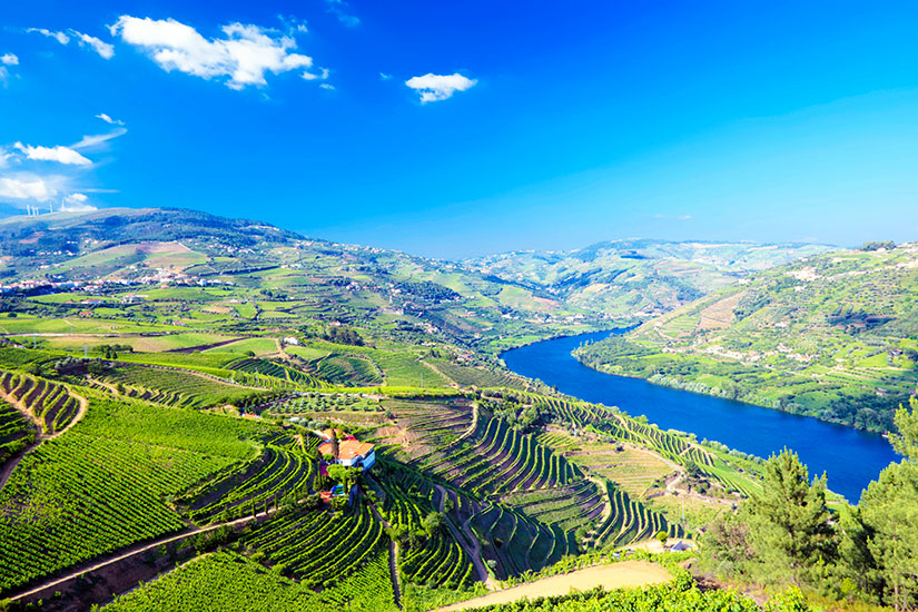 image Portugal Vallee du Douro panorama  it