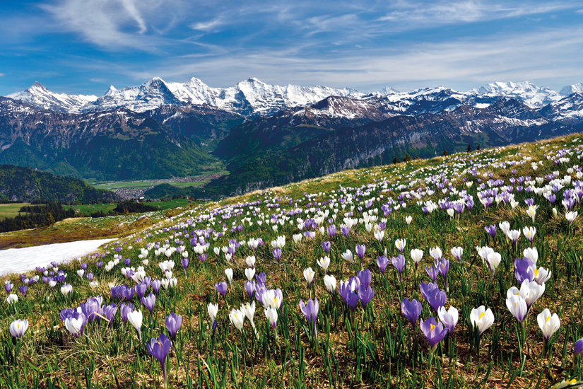 Suisse - Circuit Glaciers et Trains de Montagne (Au départ de l'Est de la France)