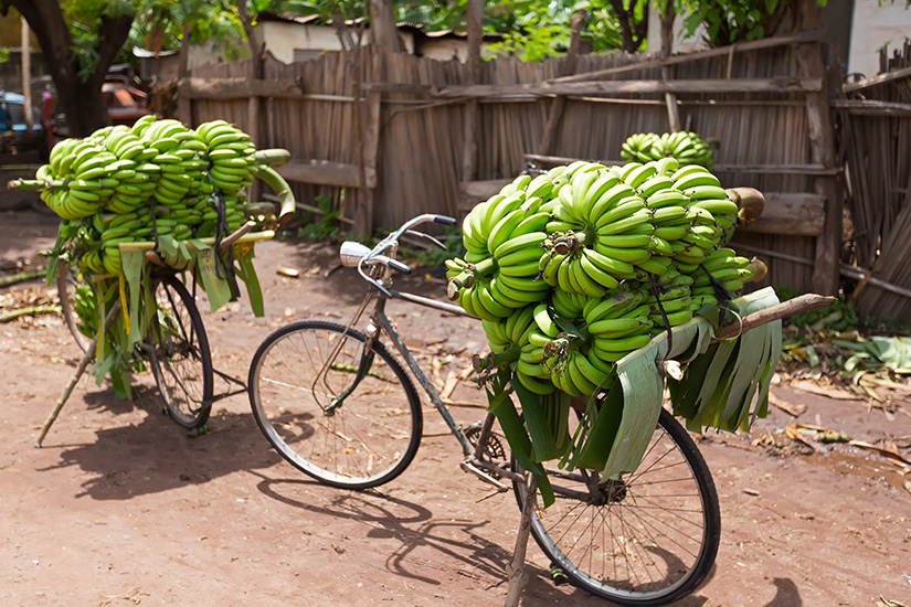 image Tanzanie Mto wa Mbu vente de bananes au marche du frais it_1084771000