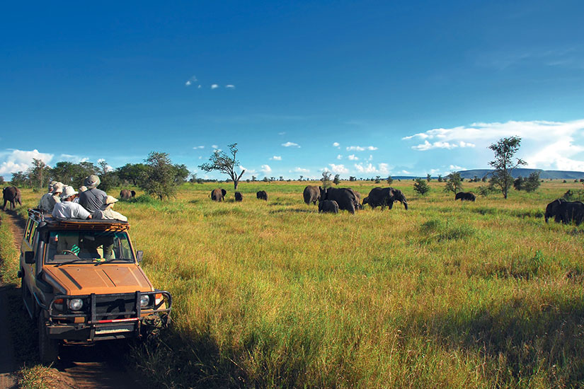 image Tanzanie Safari dans la plaine du Serengeti is_172370298