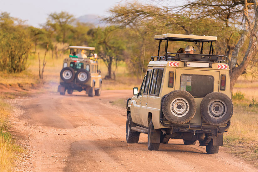 image Tanzanie Safari jeeps  fo