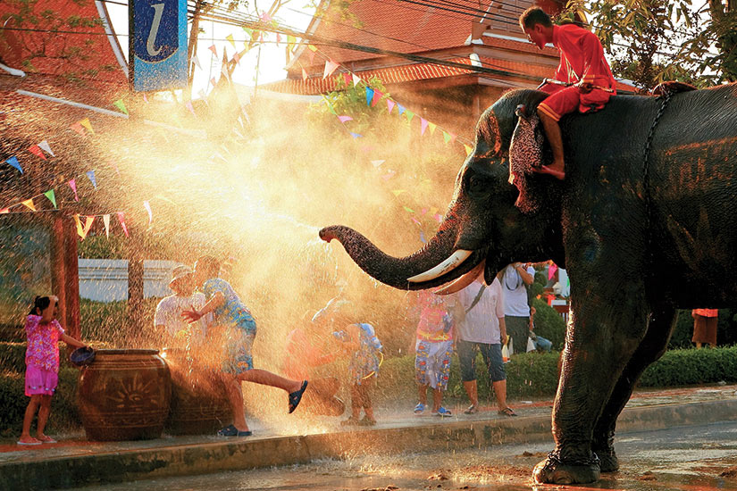 image Thailande Chang Songkran elephante jouer avec leau  fo