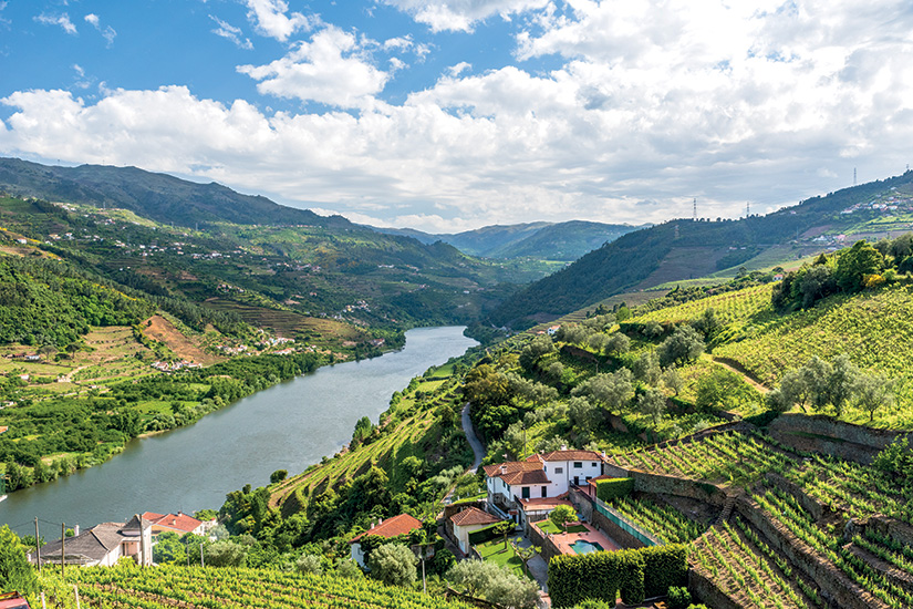 image portugal vallee du douro
