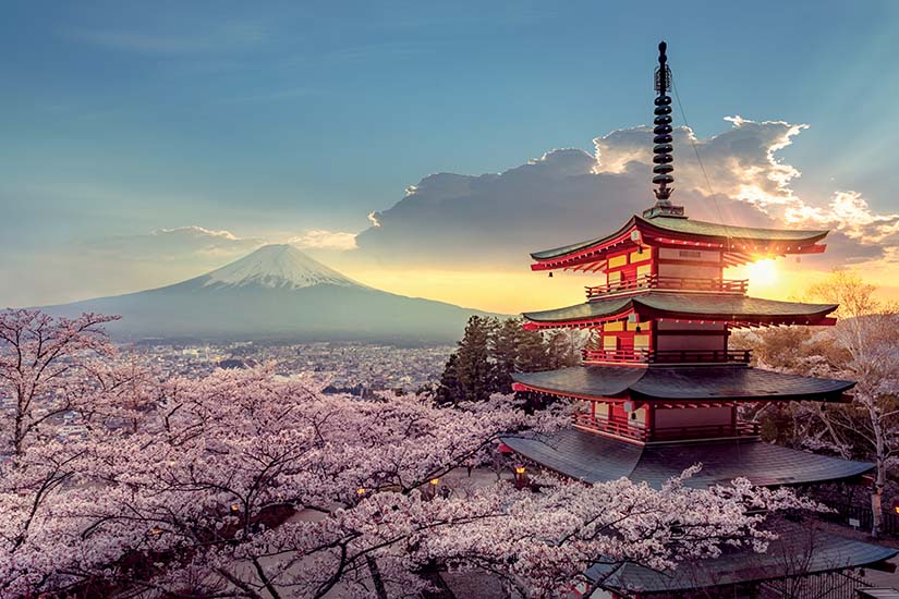 japon fujiyoshida pagode de chureito et mont fuji au printemps as_284756420
