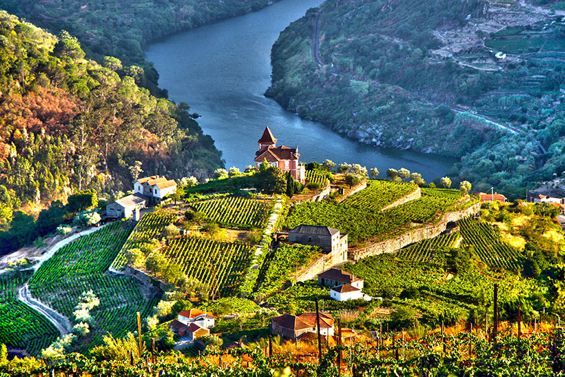 portugal vallee du douro is_502184686