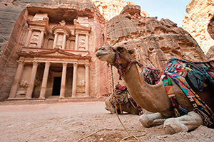 jordanie camel en face de la tresorerie al khazna  fo